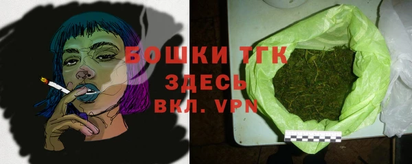 индика Бугульма
