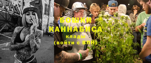 прущие грибы Бронницы