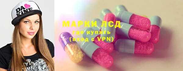 прущие грибы Бронницы
