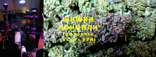 индика Бугульма