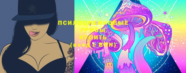 индика Бугульма