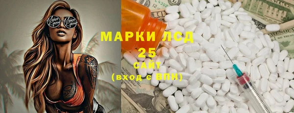 индика Бугульма