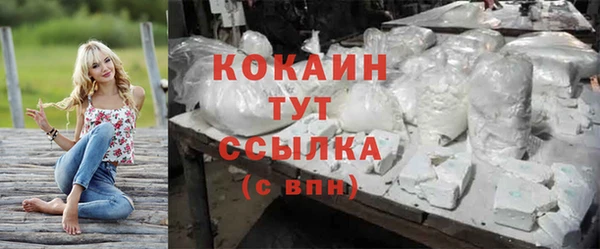 прущие грибы Бронницы