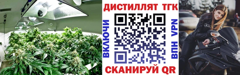 ТГК концентрат  Купить  Курчалой 